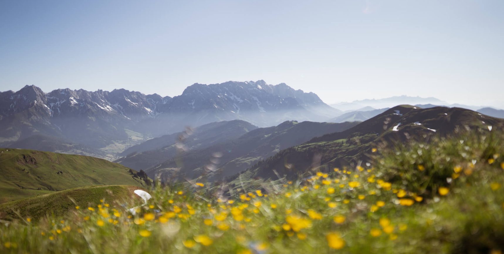 Berglandschaft im Salzburger Land mit blühenden Wiesen und schneebedeckten Gipfeln.